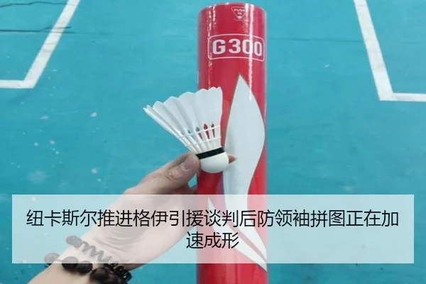 纽卡斯尔推进格伊引援谈判后防领袖拼图正在加速成形